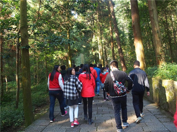 首页- Z6官网中国区人生就是博